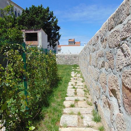 Liiiving In Porto | Central Garden Flat Zewnętrze zdjęcie